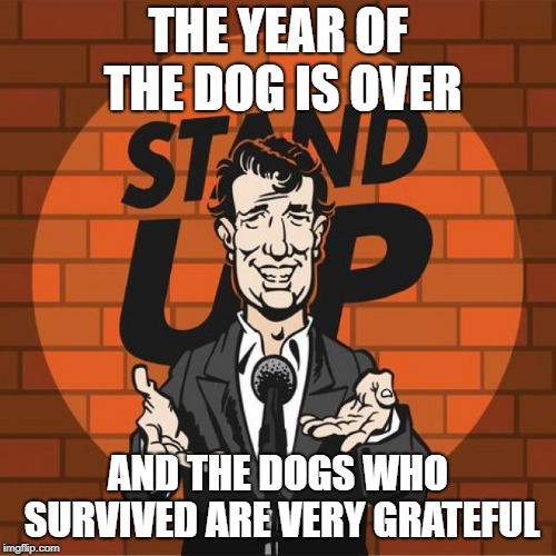 Stand Up Comedian | THE YEAR OF THE DOG IS OVER; AND THE DOGS WHO SURVIVED ARE VERY GRATEFUL | image tagged in stand up comedian | made w/ Imgflip meme maker