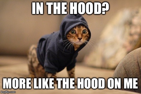 Hoody Cat Meme | IN THE HOOD? MORE LIKE THE HOOD ON ME | image tagged in memes,hoody cat | made w/ Imgflip meme maker