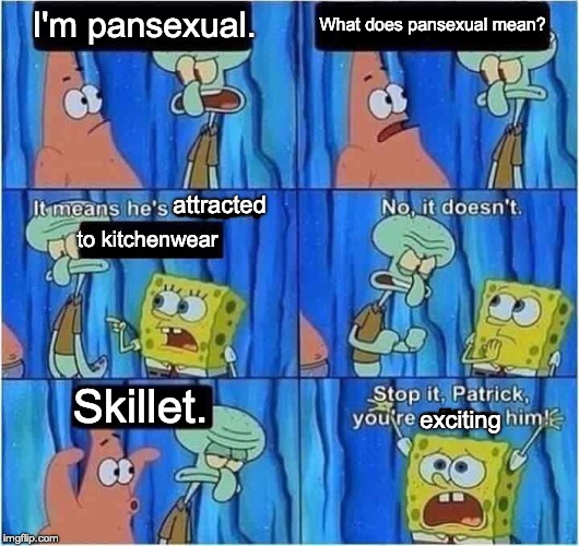 Scaring Squidward | I'm pansexual. What does pansexual mean? attracted; to kitchenwear; Skillet. exciting | image tagged in scaring squidward | made w/ Imgflip meme maker