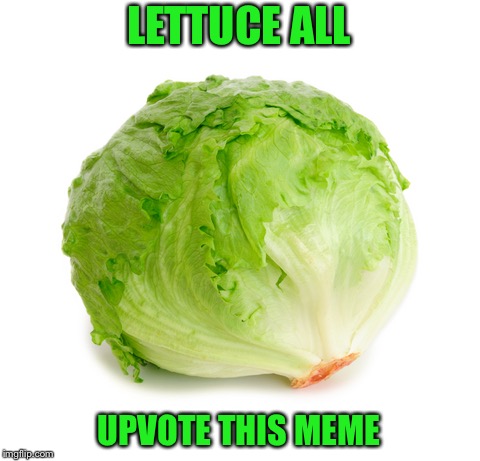 Lettuce  | LETTUCE ALL UPVOTE THIS MEME | image tagged in lettuce | made w/ Imgflip meme maker