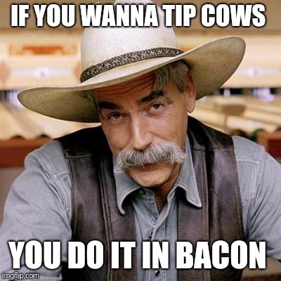 SARCASM COWBOY | IF YOU WANNA TIP COWS YOU DO IT IN BACON | image tagged in sarcasm cowboy | made w/ Imgflip meme maker