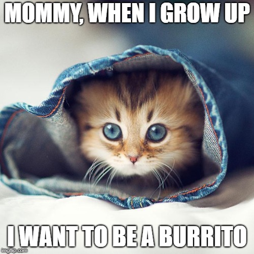 Burrito Kitten | MOMMY, WHEN I GROW UP; I WANT TO BE A BURRITO | image tagged in cute cat,kitten,burrito,cute kitten,memes,cats | made w/ Imgflip meme maker