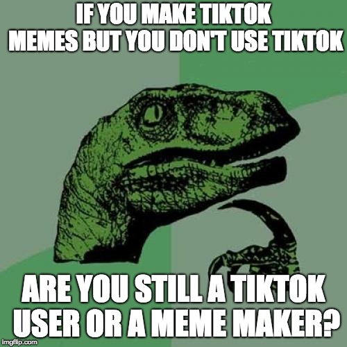 Philosoraptor | IF YOU MAKE TIKTOK MEMES BUT YOU DON'T USE TIKTOK; ARE YOU STILL A TIKTOK USER OR A MEME MAKER? | image tagged in memes,philosoraptor | made w/ Imgflip meme maker