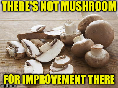 THERE'S NOT MUSHROOM FOR IMPROVEMENT THERE | made w/ Imgflip meme maker