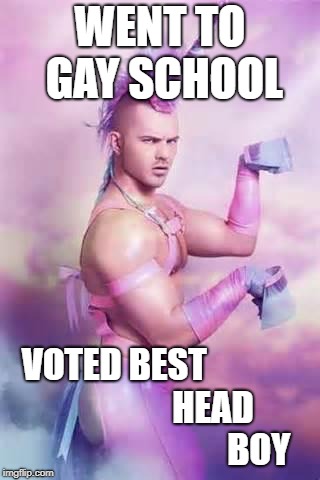 Gay Unicorn | WENT TO GAY SCHOOL; VOTED BEST                                HEAD                                BOY | image tagged in gay unicorn | made w/ Imgflip meme maker