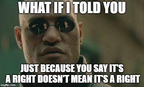 Matrix Morpheus Meme | WHAT IF I TOLD YOU; JUST BECAUSE YOU SAY IT'S A RIGHT DOESN'T MEAN IT'S A RIGHT | image tagged in memes,matrix morpheus | made w/ Imgflip meme maker
