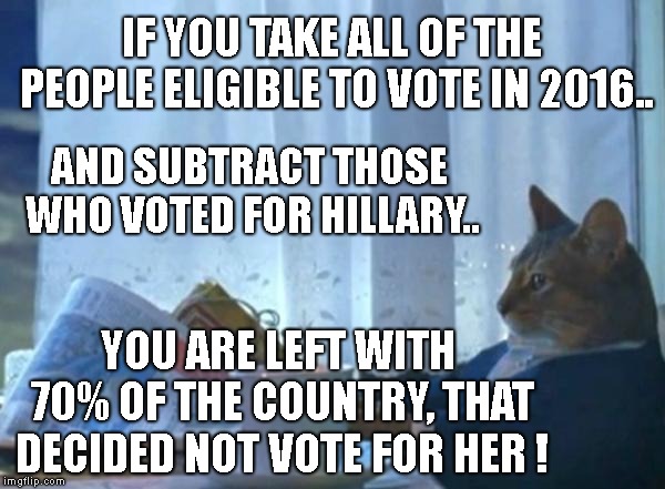 Maybe Voters Aren't As Dumb As People Have Made Them Out To Be ! | IF YOU TAKE ALL OF THE PEOPLE ELIGIBLE TO VOTE IN 2016.. AND SUBTRACT THOSE WHO VOTED FOR HILLARY.. YOU ARE LEFT WITH 70% OF THE COUNTRY, THAT DECIDED NOT VOTE FOR HER ! | image tagged in investment cat newspaper,hillary clinton,donald trump,2016 election,she's still not your president | made w/ Imgflip meme maker