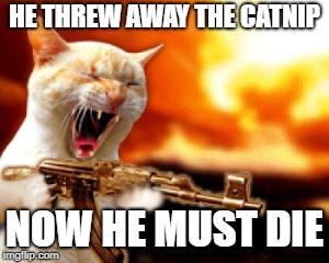 Cat Machinegun | HE THREW AWAY THE CATNIP; NOW HE MUST DIE | image tagged in cat machinegun | made w/ Imgflip meme maker