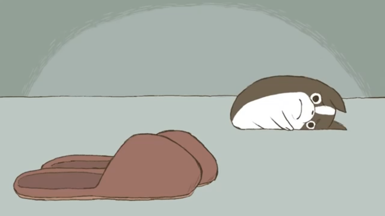 Sad Dog and slippers Blank Meme Template