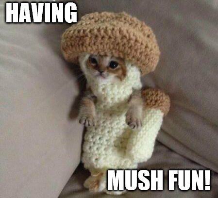 HAVING MUSH FUN! | made w/ Imgflip meme maker