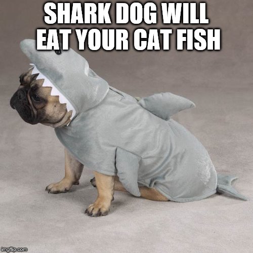 SHARK DOG WILL EAT YOUR CAT FISH | made w/ Imgflip meme maker