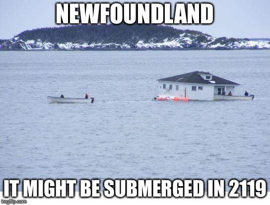 Newfoundland Maybe Dissappeared In 100 Years | NEWFOUNDLAND; IT MIGHT BE SUBMERGED IN 2119 | image tagged in newfoundland,memes | made w/ Imgflip meme maker