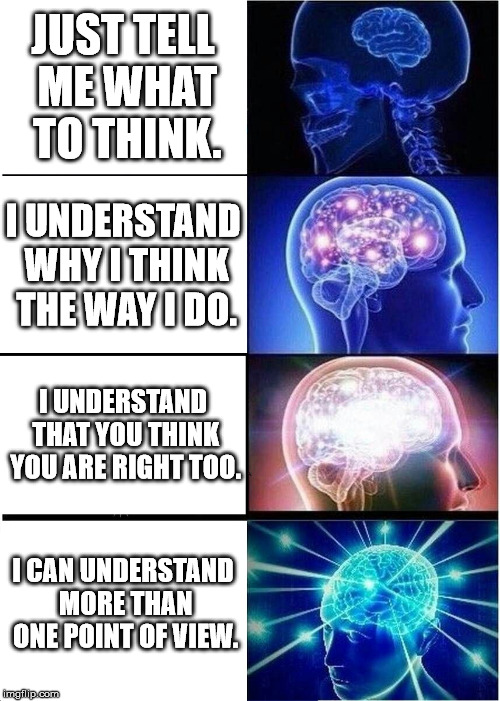 Expanding Brain | JUST TELL ME WHAT TO THINK. I UNDERSTAND WHY I THINK THE WAY I DO. I UNDERSTAND THAT YOU THINK YOU ARE RIGHT TOO. I CAN UNDERSTAND MORE THAN ONE POINT OF VIEW. | image tagged in memes,expanding brain | made w/ Imgflip meme maker