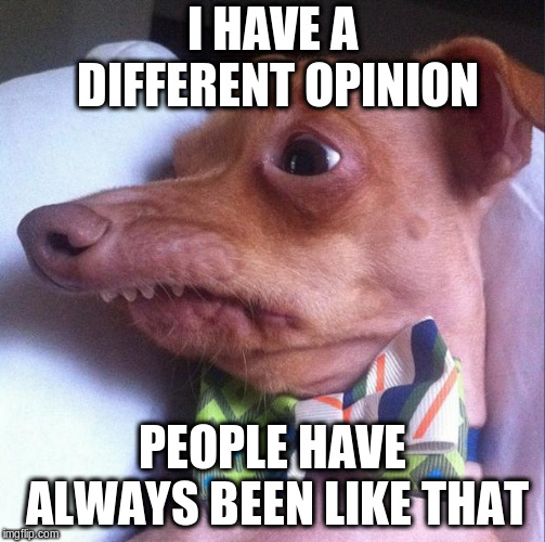 Tuna the dog (Phteven) | I HAVE A DIFFERENT OPINION PEOPLE HAVE ALWAYS BEEN LIKE THAT | image tagged in tuna the dog phteven | made w/ Imgflip meme maker