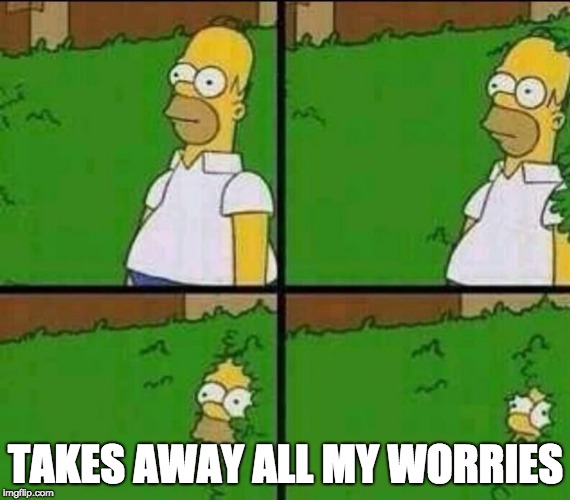 Homer Simpson in Bush - Large | TAKES AWAY ALL MY WORRIES | image tagged in homer simpson in bush - large | made w/ Imgflip meme maker