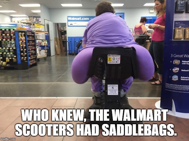 You're welcome for this image! | WHO KNEW, THE WALMART SCOOTERS HAD SADDLEBAGS. | image tagged in people of walmart,saddlebags,oh my | made w/ Imgflip meme maker