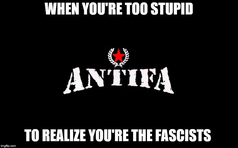 30 year old nothing | WHEN YOU'RE TOO STUPID; TO REALIZE YOU'RE THE FASCISTS | image tagged in antifa | made w/ Imgflip meme maker