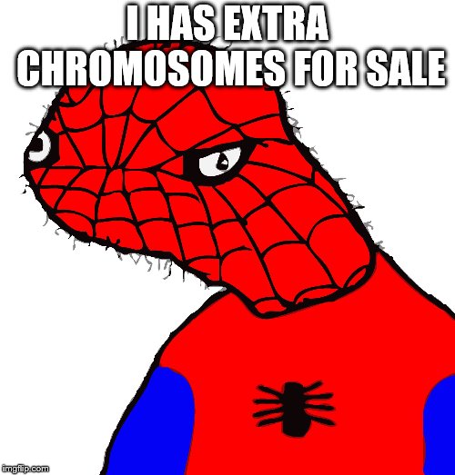 Spooderman | I HAS EXTRA CHROMOSOMES FOR SALE | image tagged in spooderman | made w/ Imgflip meme maker