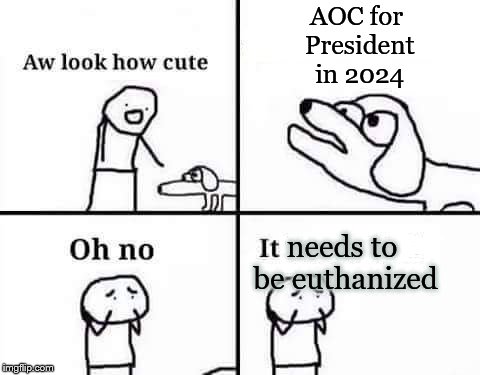 She'll be 35 by then, right? | AOC for President in 2024; needs to be euthanized | image tagged in retarded dog,memes,alexandria ocasio-cortez | made w/ Imgflip meme maker