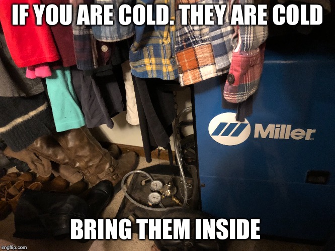 IF YOU ARE COLD. THEY ARE COLD; BRING THEM INSIDE | image tagged in welder | made w/ Imgflip meme maker