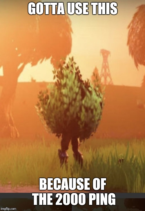 Fortnite bush | GOTTA USE THIS BECAUSE OF THE 2000 PING | image tagged in fortnite bush | made w/ Imgflip meme maker