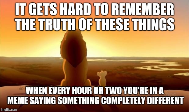 MUFASA AND SIMBA | IT GETS HARD TO REMEMBER THE TRUTH OF THESE THINGS WHEN EVERY HOUR OR TWO YOU'RE IN A MEME SAYING SOMETHING COMPLETELY DIFFERENT | image tagged in mufasa and simba | made w/ Imgflip meme maker