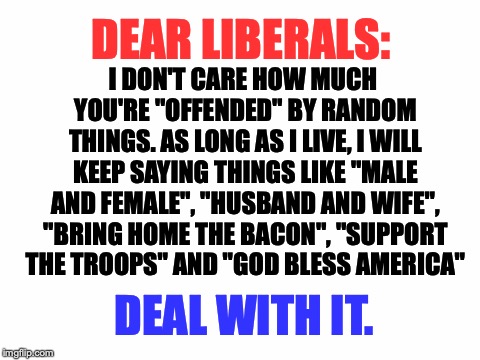 *dabs unironically for the first time since 2015* | I DON'T CARE HOW MUCH YOU'RE "OFFENDED" BY RANDOM THINGS. AS LONG AS I LIVE, I WILL KEEP SAYING THINGS LIKE "MALE AND FEMALE", "HUSBAND AND WIFE", "BRING HOME THE BACON", "SUPPORT THE TROOPS" AND "GOD BLESS AMERICA"; DEAR LIBERALS:; DEAL WITH IT. | image tagged in memes,funny,politics,liberals,political correctness,offensive | made w/ Imgflip meme maker