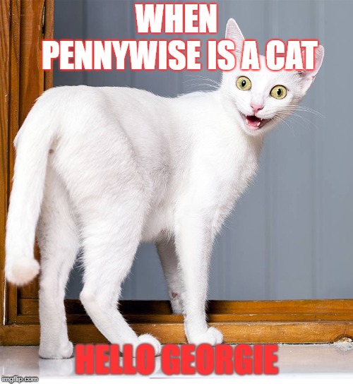 Pennywise cat | WHEN PENNYWISE IS A CAT; HELLO GEORGIE | image tagged in cats,cat,pennywise,horror,funny,clown | made w/ Imgflip meme maker