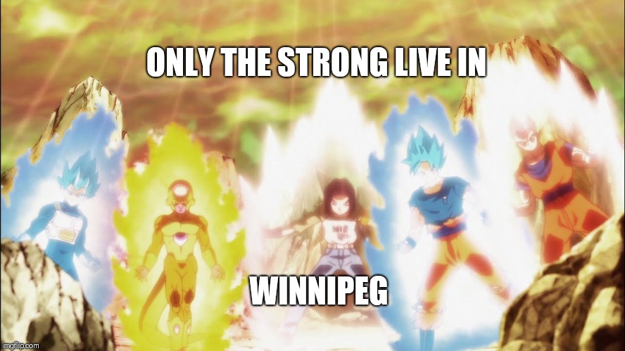 DBZ | ONLY THE STRONG LIVE IN; WINNIPEG | image tagged in dbz | made w/ Imgflip meme maker