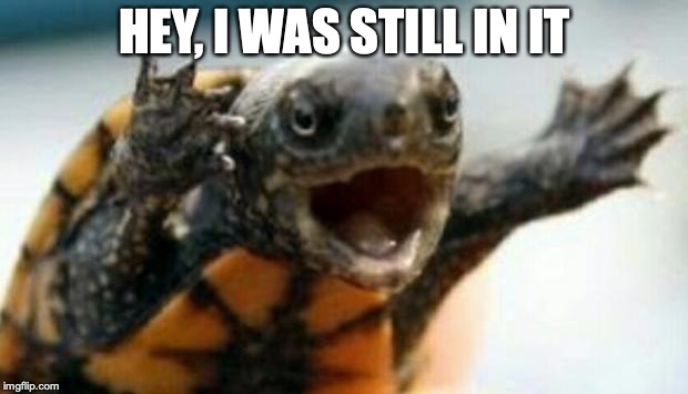 Turtle Say What? | HEY, I WAS STILL IN IT | image tagged in turtle say what | made w/ Imgflip meme maker