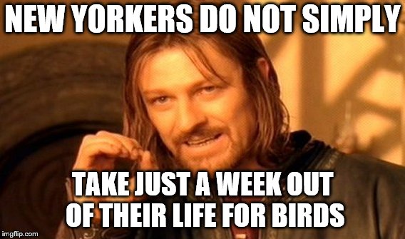 One Does Not Simply | NEW YORKERS DO NOT SIMPLY; TAKE JUST A WEEK OUT OF THEIR LIFE FOR BIRDS | image tagged in memes,one does not simply | made w/ Imgflip meme maker