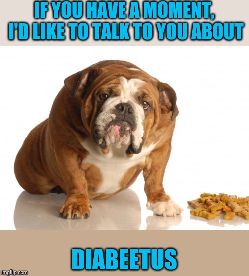 A Commercial in your Memestream | IF YOU HAVE A MOMENT, I'D LIKE TO TALK TO YOU ABOUT; DIABEETUS | image tagged in wilford brimley,dog | made w/ Imgflip meme maker
