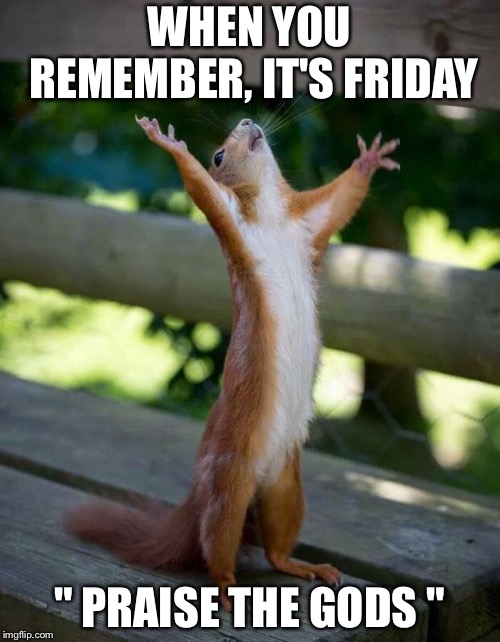 Happy Squirrel | WHEN YOU REMEMBER, IT'S FRIDAY; " PRAISE THE GODS " | image tagged in happy squirrel | made w/ Imgflip meme maker