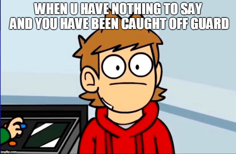 Speechless Tord | WHEN U HAVE NOTHING TO SAY AND YOU HAVE BEEN CAUGHT OFF GUARD | image tagged in oof to tord,tord,funny,eddsworld,memes | made w/ Imgflip meme maker