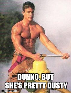 Sexy Fireman | DUNNO, BUT SHE'S PRETTY DUSTY | image tagged in sexy fireman | made w/ Imgflip meme maker
