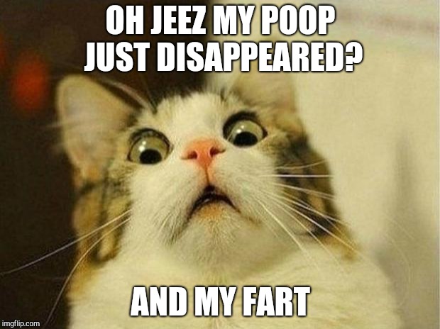 Scared Cat | OH JEEZ MY POOP JUST DISAPPEARED? AND MY FART | image tagged in memes,scared cat | made w/ Imgflip meme maker