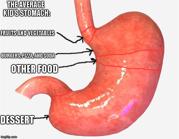 If you have kids and they say they're full of their vegetables, remember this meme! | THE AVERAGE KID'S STOMACH:; FRUITS AND VEGETABLES; BURGERS, PIZZA, AND SODA; OTHER FOOD; DESSERT | image tagged in average kids stomach,memes | made w/ Imgflip meme maker