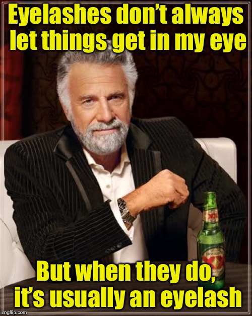 Eyeronic  | Eyelashes don’t always let things get in my eye; But when they do, it’s usually an eyelash | image tagged in memes,the most interesting man in the world,eyes,irony | made w/ Imgflip meme maker