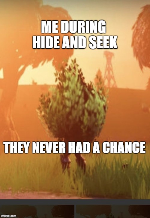 Fortnite bush | ME DURING HIDE AND SEEK; THEY NEVER HAD A CHANCE | image tagged in fortnite bush | made w/ Imgflip meme maker