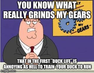 You know what really grinds my gears? | YOU KNOW WHAT REALLY GRINDS MY GEARS; THAT IN THE FIRST ¨DUCK LIFE¨ IS ANNOYING AS HELL TO TRAIN  YOUR DUCK TO RUN | image tagged in you know what really grinds my gears | made w/ Imgflip meme maker