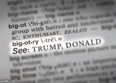 New definition of bigotry | image tagged in trump bigot,racists | made w/ Imgflip meme maker