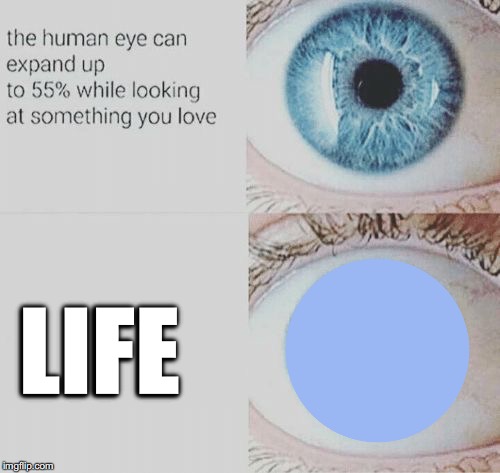 wow i suck at this | LIFE | image tagged in eye pupil expand,please kill me | made w/ Imgflip meme maker