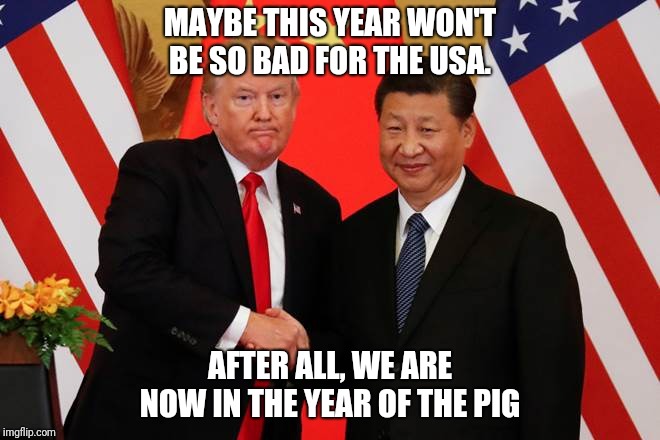MAYBE THIS YEAR WON'T BE SO BAD FOR THE USA. AFTER ALL, WE ARE NOW IN THE YEAR OF THE PIG | image tagged in donald trump,president xi,china,pig | made w/ Imgflip meme maker