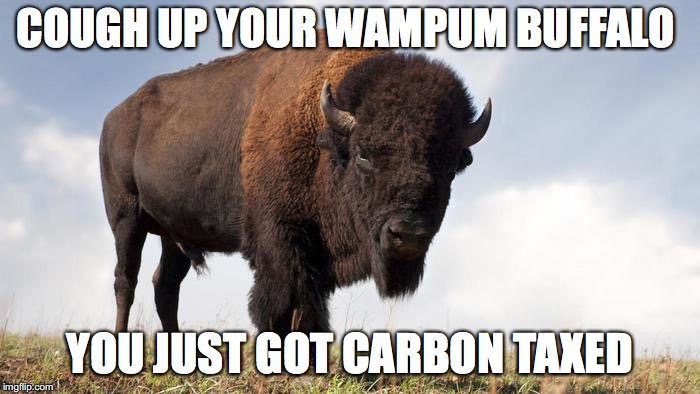 Buffalo | COUGH UP YOUR WAMPUM BUFFALO; YOU JUST GOT CARBON TAXED | image tagged in buffalo | made w/ Imgflip meme maker