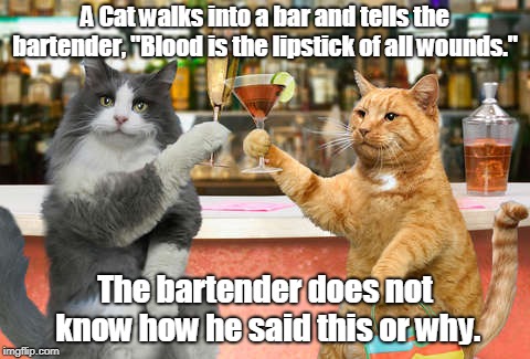 A Cat walks into a bar | A Cat walks into a bar and tells the bartender, "Blood is the lipstick of all wounds."; The bartender does not know how he said this or why. | image tagged in cats | made w/ Imgflip meme maker