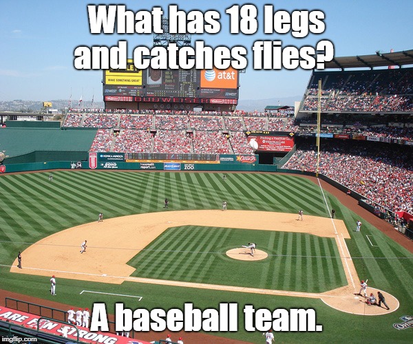 Base ball team | What has 18 legs and catches flies? A baseball team. | image tagged in sport | made w/ Imgflip meme maker