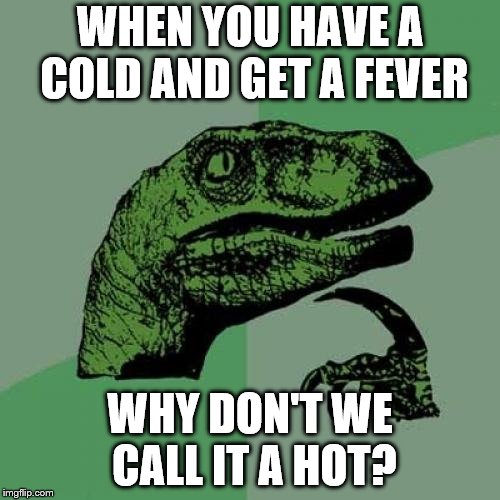 Philosoraptor Meme | WHEN YOU HAVE A COLD AND GET A FEVER; WHY DON'T WE CALL IT A HOT? | image tagged in memes,philosoraptor | made w/ Imgflip meme maker