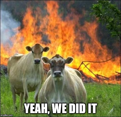 Evil Cows Meme | YEAH, WE DID IT | image tagged in memes,evil cows | made w/ Imgflip meme maker