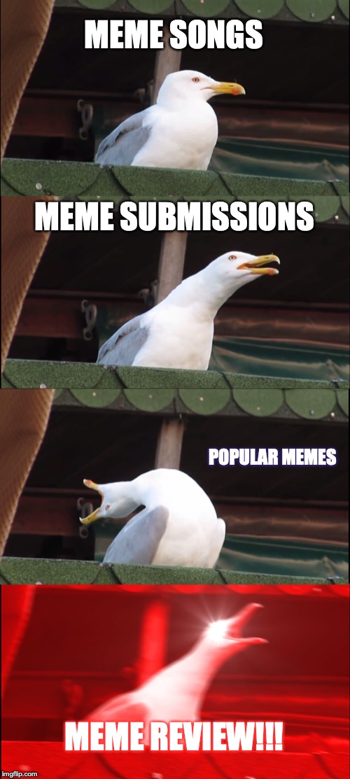 Inhaling Seagull Meme | MEME SONGS; MEME SUBMISSIONS; POPULAR MEMES; MEME REVIEW!!! | image tagged in memes,inhaling seagull | made w/ Imgflip meme maker