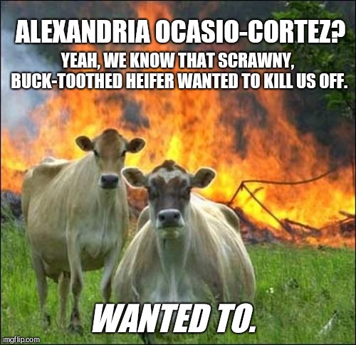 Right-To-Exist Activist Cows | YEAH, WE KNOW THAT SCRAWNY, BUCK-TOOTHED HEIFER WANTED TO KILL US OFF. ALEXANDRIA OCASIO-CORTEZ? WANTED TO. | image tagged in memes,farting cows,alexandria ocasio-cortez,humor | made w/ Imgflip meme maker